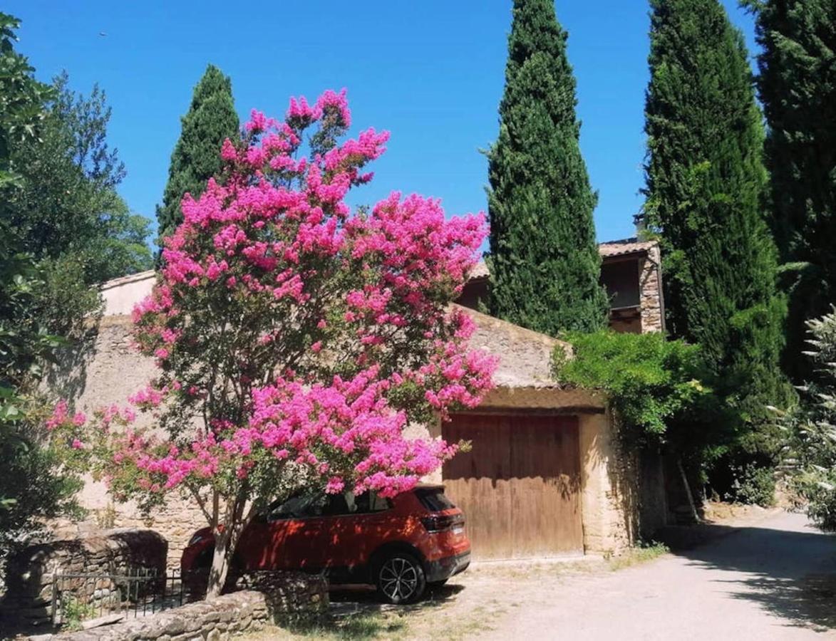 Maison 1643 Laudun エクステリア 写真