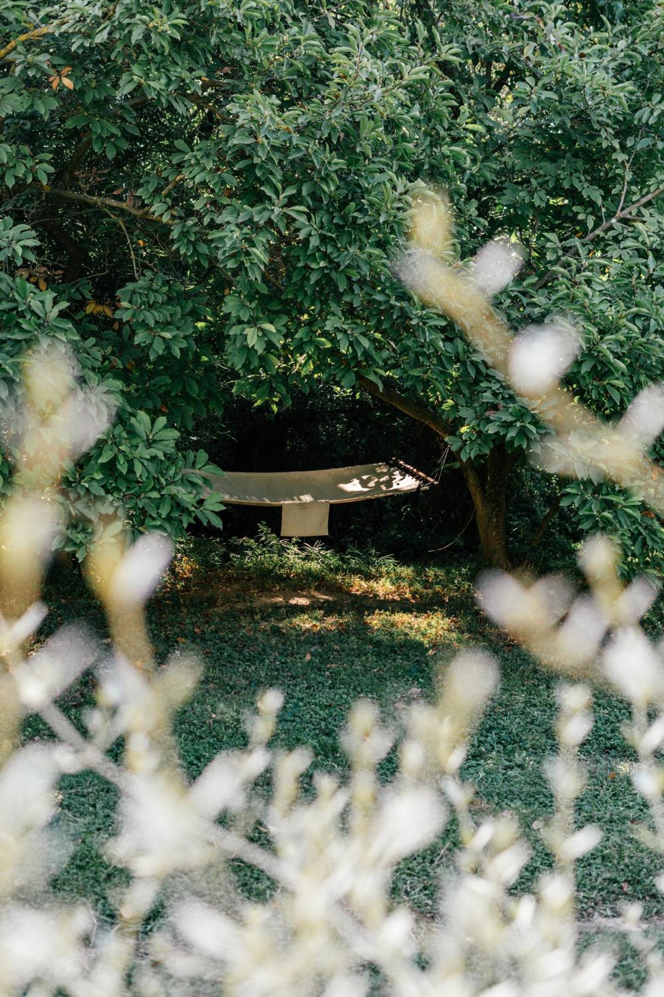 Maison 1643 Laudun エクステリア 写真